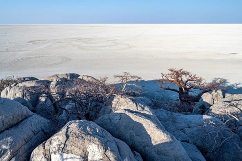 Round rocks of Kubu Island and African baobab (Adansonia digitata), overlooking the salt pan, Kubu