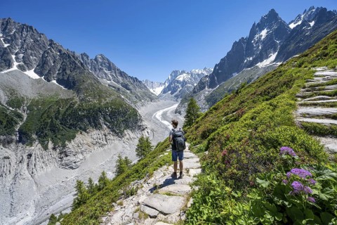 Picturesque mountain landscape with blooming alpine flowers, imposing mountain peaks and glaciers,
