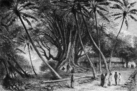 Landscape on the island, palm trees, giant trees, locals in conversation, wooden house, path,