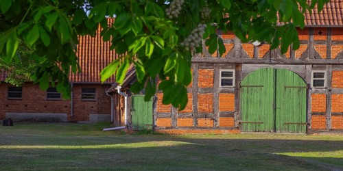 View through a chestnut tree to a part of a barn, Böhme, Heidekreis, Rethem Aller, Leine Aller Tal,