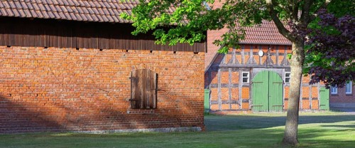 View through a chestnut tree onto a farm, Böhme, Heidekreis, Rethem Aller, Leine Aller Tal, Lower