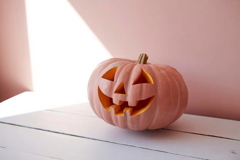Pink pumpkin resting on wooden surface with shadow and light. Minimalist autumn composition