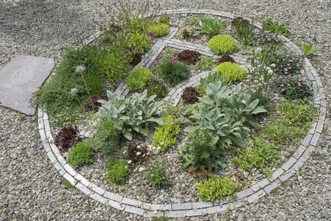 Round gravel bed with various plants, North Rhine-Westphalia, Germany