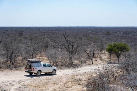 Off-road vehicle between dry bushes on a sandy track, Makgadikgadi salt pans, Botswana