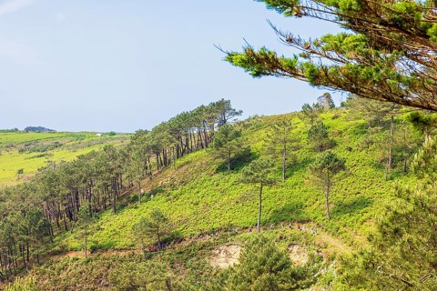 Rolling landscape with hikers walking on row on a hiking trail on a slope a sunny summer day,