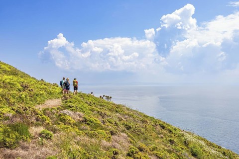 Group of hikers standing and looking out over the sea towards the horizon on a coastal footpath on