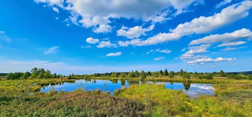 A quiet moor pond reflecting the clouds of the sky, embedded in a green landscape, summer, High