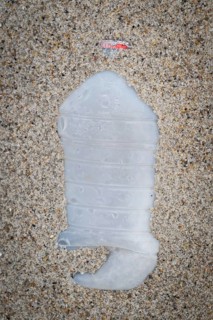 Plastic bottle with red cap lying in the sand on the beach, symbolising pollution and human waste,