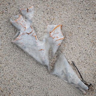 Old plastic glove in the sand with visible cracks, symbolising pollution and human waste, beach,