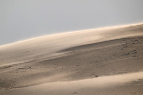 Curved sand dune in strong winds, near Hvide Sande, Jutland, Denmark