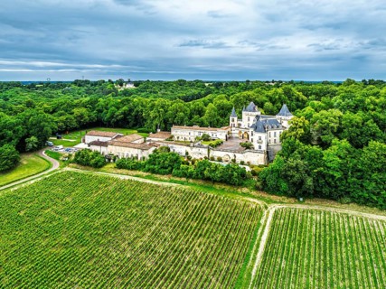 Castle of La Riviere, Vineyard Chateau de La Riviere from a drone, Bordeaux, France