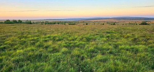 A wide moor landscape with a view of a sky illuminated by the colours of the sunset, summer, High