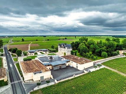 Chateau Pichon Longueville Baron Vineyard and grape fields around Pauillac from a drone, Bordeaux,