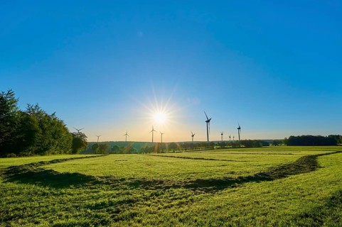 A group of wind turbines rises above a wide meadow in the light-flooded morning sky, summer,