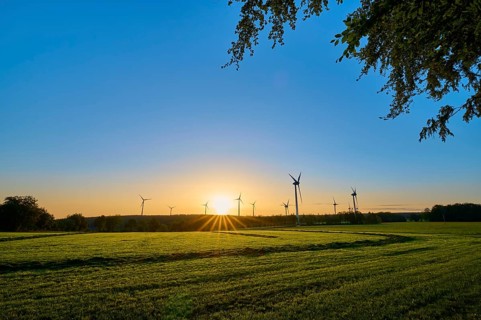 Wind turbines stand in a meadow while the sun rises gently on the horizon and provides light,