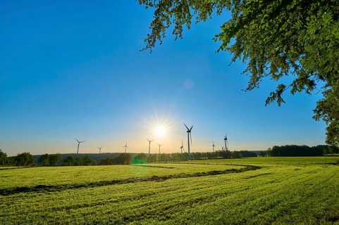 Early morning light illuminates the meadow and the wind turbines against a cloudless blue sky,