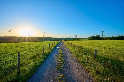 Field path with wind turbines in the background at sunrise, surrounded by green meadows, summer,