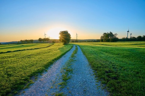 A gravelled path leads through a wide meadow glowing in the morning light, while wind turbines are