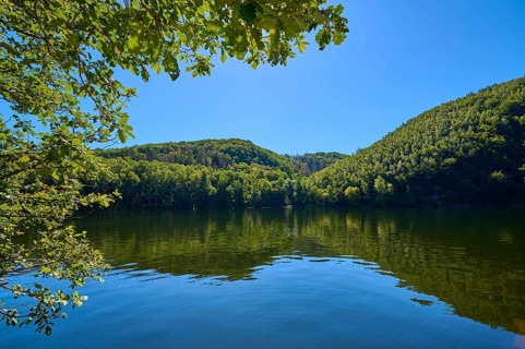 Clear blue sky over a calm lake, surrounded by green forest landscape, summer, Rursee, Obersee,