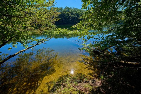Shore of a clear lake in the shade of trees with reflecting water and sunny sky, summer, Rursee,