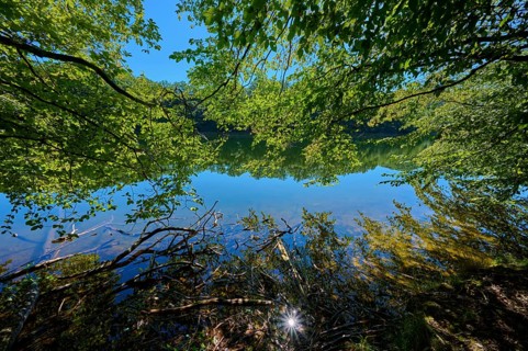 Tranquil water landscape under trees with natural reflection and clear sky, summer, Rursee,