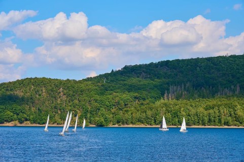 Several sailing boats on a lake in front of a wooded backdrop and blue sky, summer, Rursee,