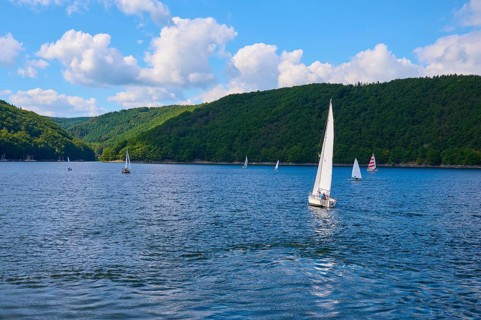 Several sailing boats gliding on a calm lake, with white clouds and blue sky, summer, Rursee,
