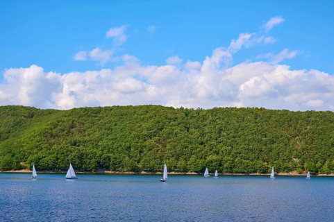 Small sailing boats sailing close to the wooded shore of a quiet lake under a blue sky, summer,