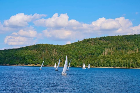 Several sailboats sailing on a lake in front of a wooded shore under a cloudy sky, summer, Rursee,