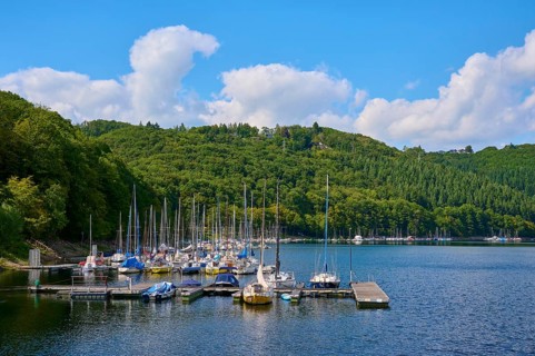 Many sailing boats in a small harbour at the edge of the forest, summer, Rursee, Rurtalsperre,