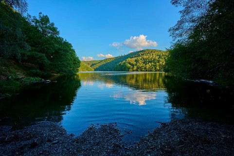 Calm lake with wooded shores under a clear sky, light clouds passing by, summer, Rursee, Obersee,