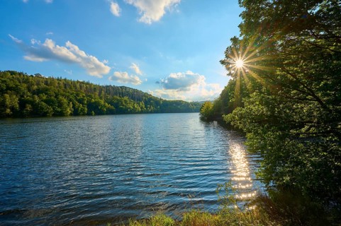 Sunbeams through trees on a calm lake, summer, Rursee, Obersee, Simmerath, Eifel National Park,