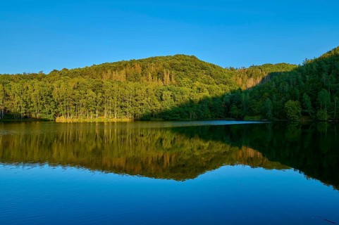 Forest reflection in a calm lake, surrounded by wooded hills, summer, Rursee, Obersee, Simmerath,