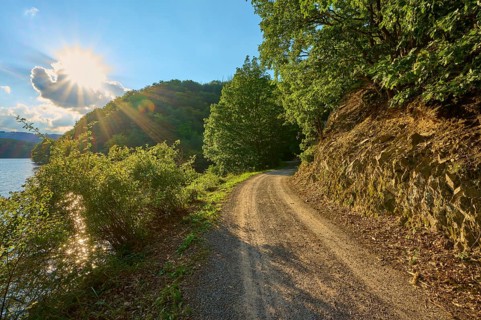 Sunlight shining through trees onto a forest path next to a rock face, summer, Rursee, Obersee,