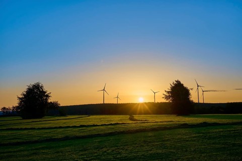 Sunrise, with windmills and trees on a green field, warm light, summer, Rohren, Monschau, Eifel,