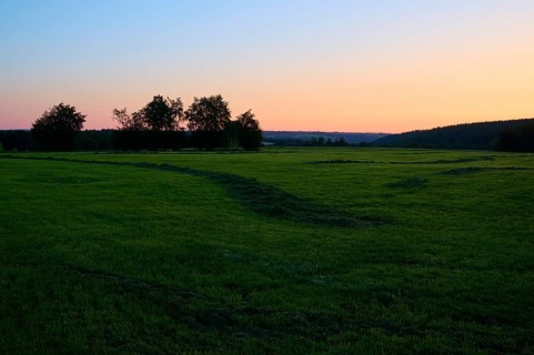 Green meadow at sunrise, with a colourful sky in the background, summer, Rohren, Monschau, Eifel,