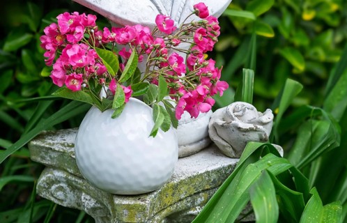 Rose blossoms in a white vase, North Rhine-Westphalia, Germany