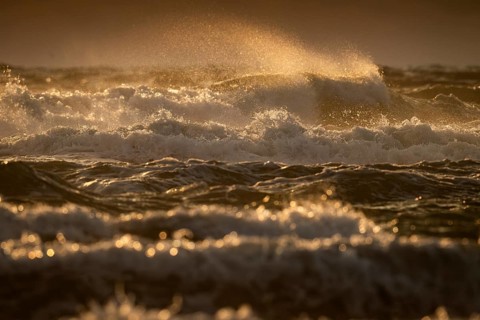 Rolling waves, surf, evening light, backlight, Hvide Sande, North Sea, Denmark