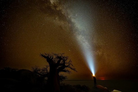 Young man shines torch into the sky, silhouette of a baobab tree with starry sky and Milky Way, red