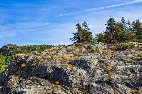 Wooded coastal landscape of granite rocks in the archipelago near Lysekil, BohuslÃ¤n, VÃ¤stra