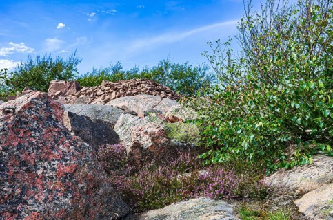 Rocky landscape of Bohusgranite and typical vegetation on the coast of Lysekil, BohuslÃ¤n, VÃ¤stra