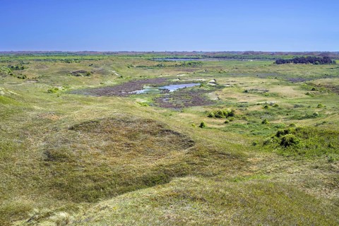 View from Bertusnol over dunes at De Nederlanden, part of nature reserve De Muy in the Nationaal