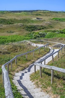 View from Bertusnol over dunes at De Nederlanden, part of nature reserve De Muy in the Nationaal