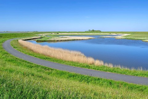 Path and pond in brackish polder at nature reserve Zandkes from Natuurmonumenten near