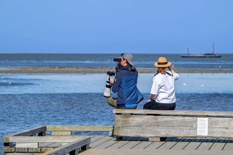 Couple of birdwatchers with binoculars, camera and telephoto lens watching birds at sea from wooden