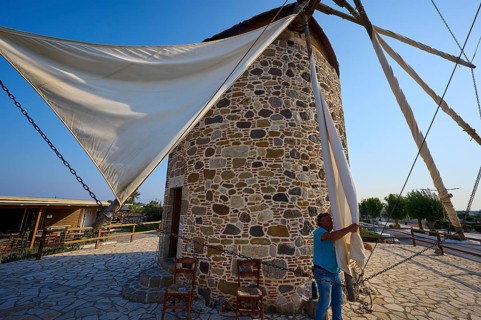 Stone windmill in summer light, a man fastening a sail, windmill, Antimacheia, Kos, Dodecanese,