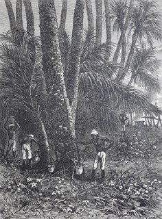 Extraction of maple sap for maple sugar and maple syrup, around 1880, Canada, digitally improved