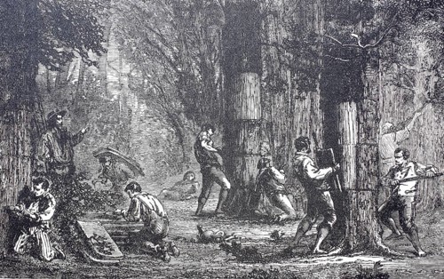 Extraction of cork bark from cork oaks, around 1860, Portugal, digitally enhanced reproduction of a