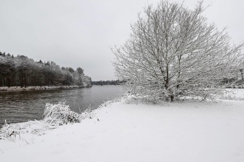 Winter landscape on the Ems, Emsland, Lower Saxony, Germany
