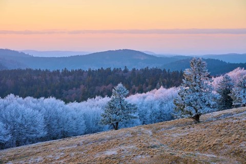 Frozen hilly landscape in soft shades of blue and pink at dusk, winter, Route de Cretes, Hohneck,